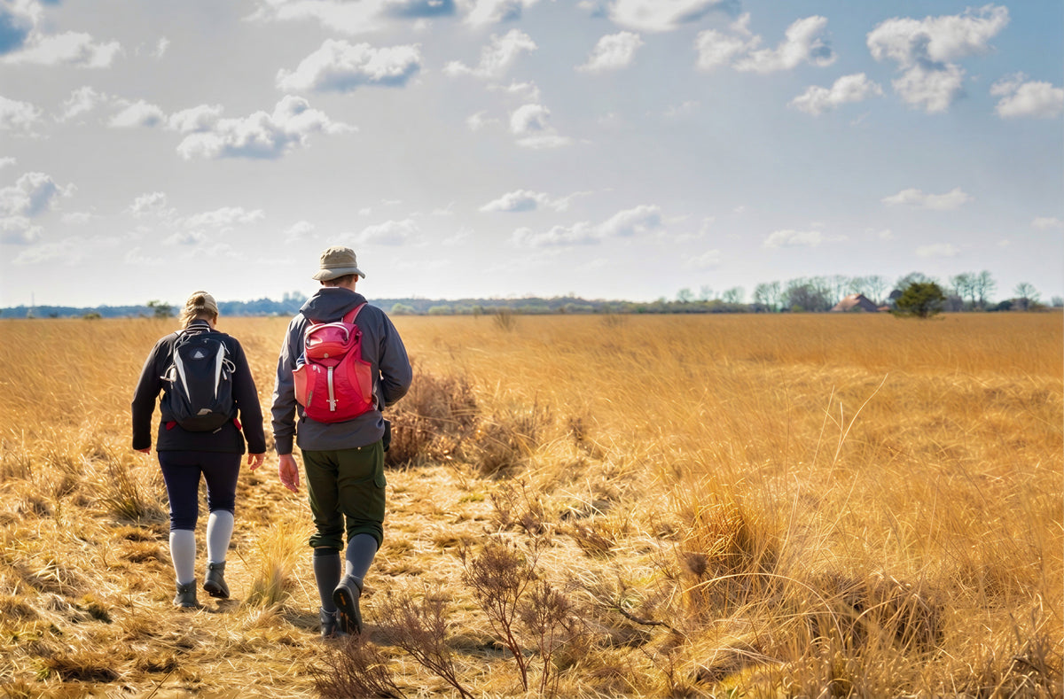 Couple walking through golden heathland, seen from behind, wearing knee-high compression socks